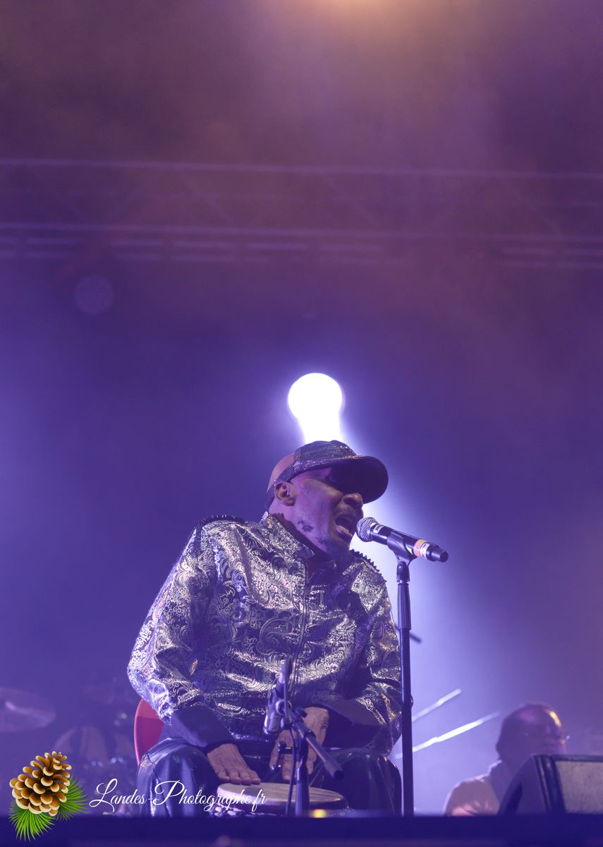Jimmy Cliff en concert au Festival Reggae Sun Ska 2015