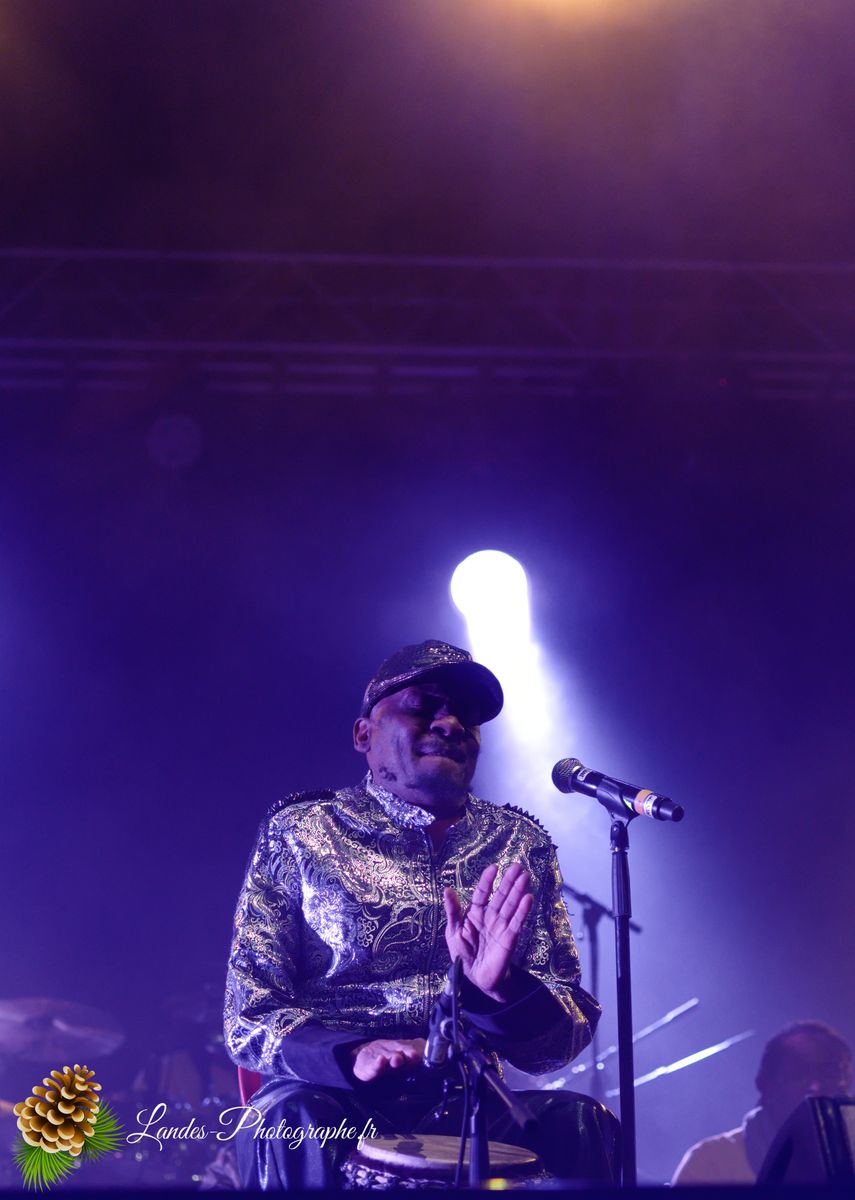 Jimmy Cliff en concert au Festival Reggae Sun Ska 2015