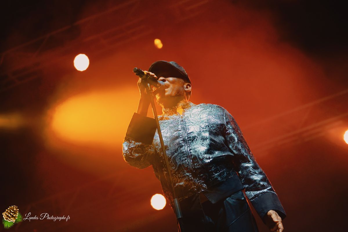 Jimmy Cliff en concert au Festival Reggae Sun Ska 2015