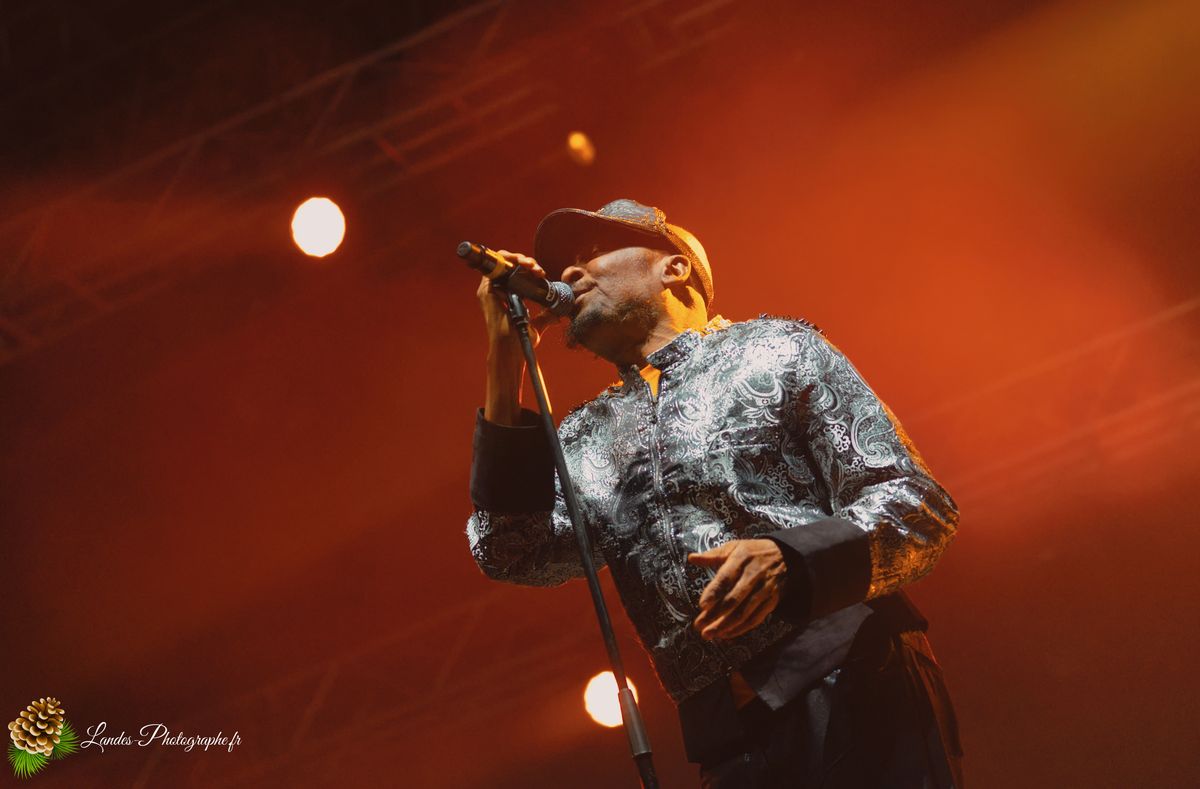 Jimmy Cliff en concert au Festival Reggae Sun Ska 2015