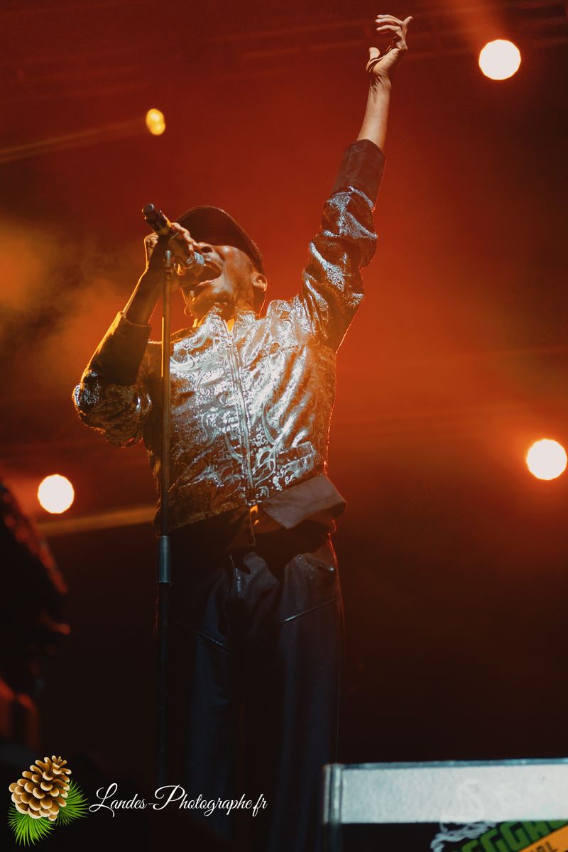 Jimmy Cliff en concert au Festival Reggae Sun Ska 2015
