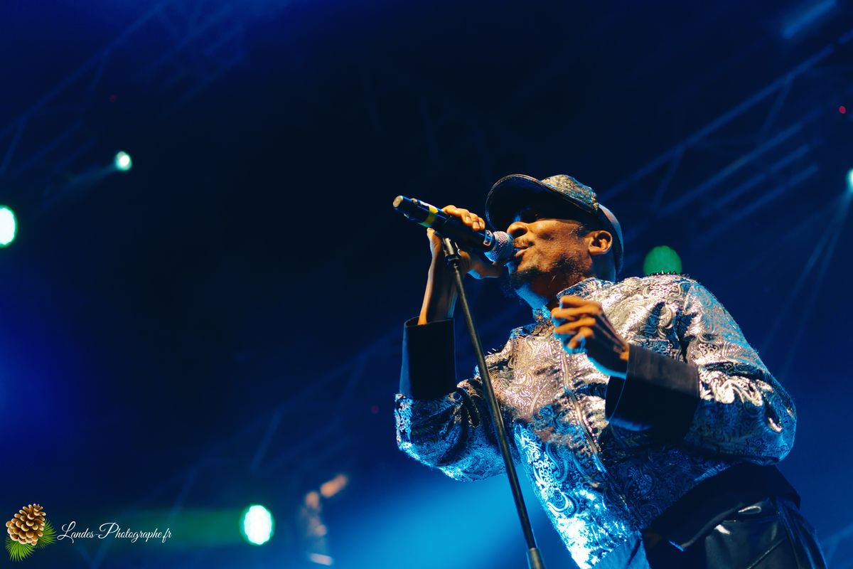 Jimmy Cliff en concert au Festival Reggae Sun Ska 2015