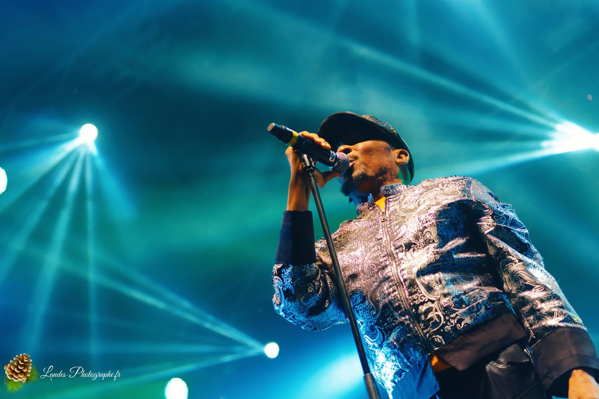 Jimmy Cliff en concert au Festival Reggae Sun Ska 2015