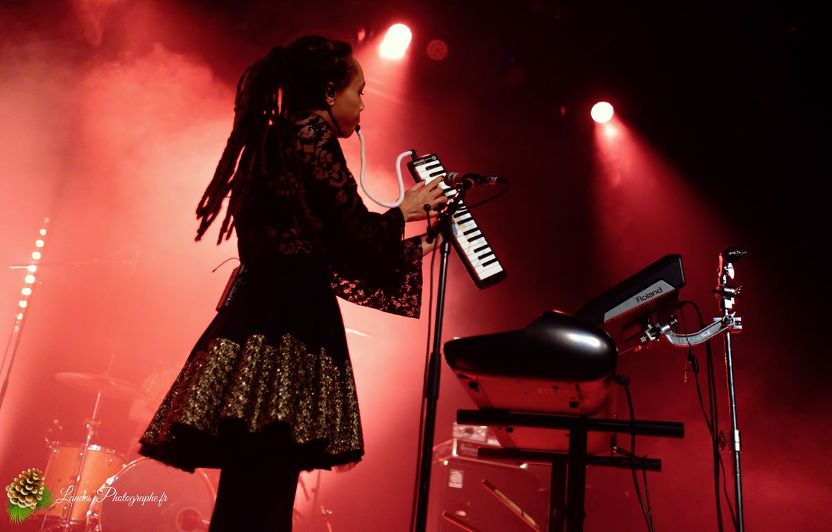 The skints en concert a la Salle Bellegrave de Pessac