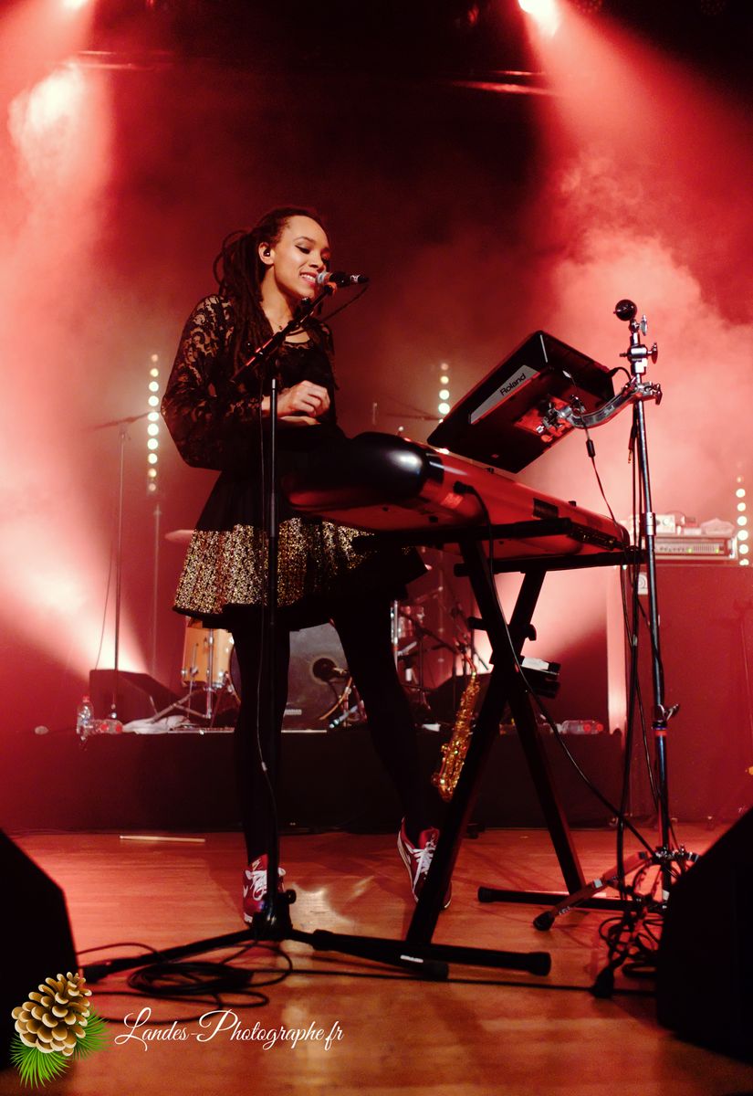 The skints en concert a la Salle Bellegrave de Pessac