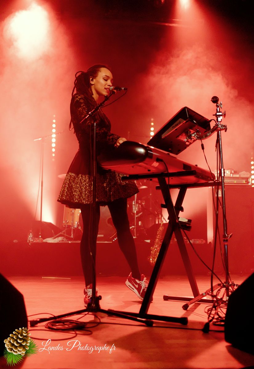 The skints en concert a la Salle Bellegrave de Pessac