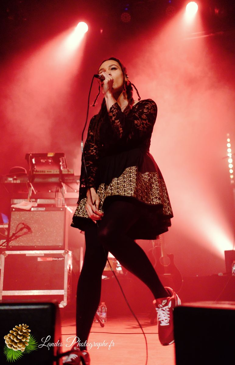 The skints en concert a la Salle Bellegrave de Pessac