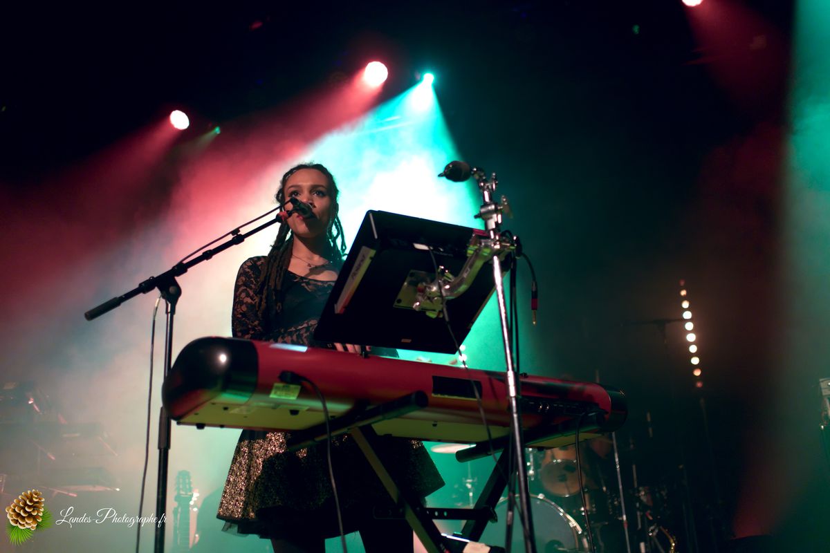 The skints en concert a la Salle Bellegrave de Pessac