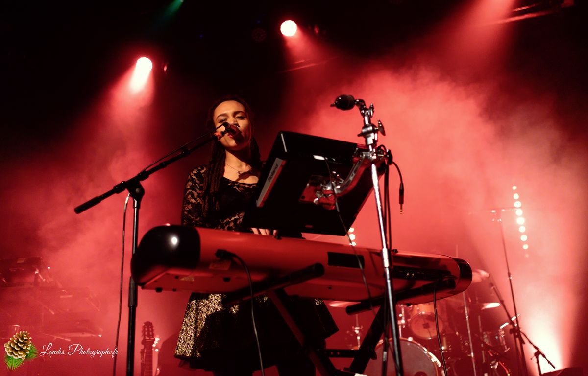 The skints en concert a la Salle Bellegrave de Pessac