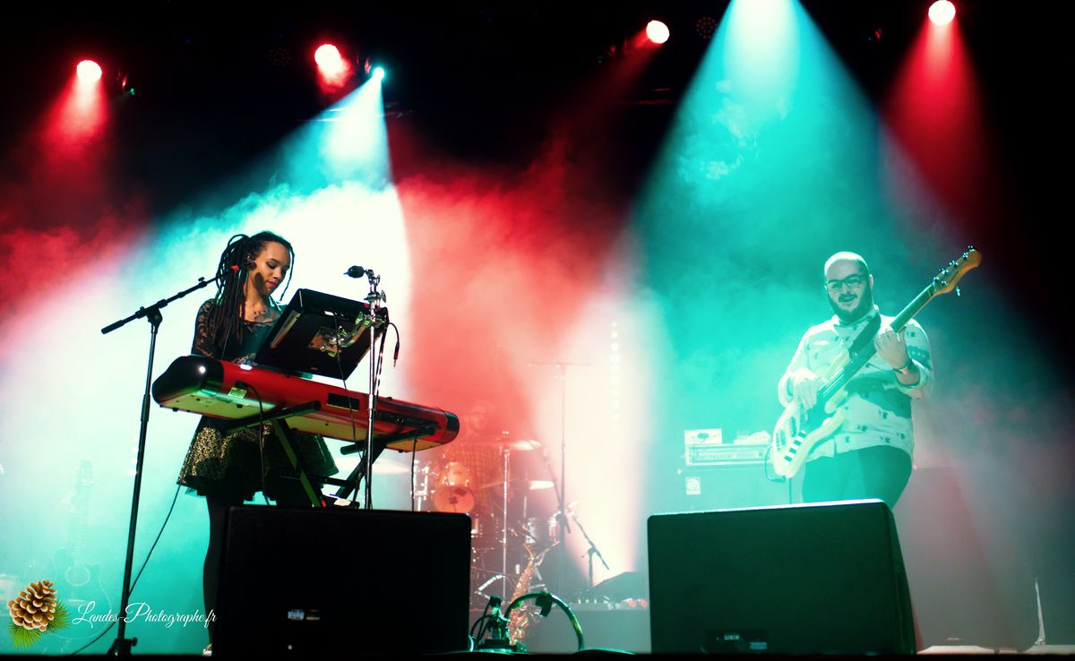 The skints en concert a la Salle Bellegrave de Pessac