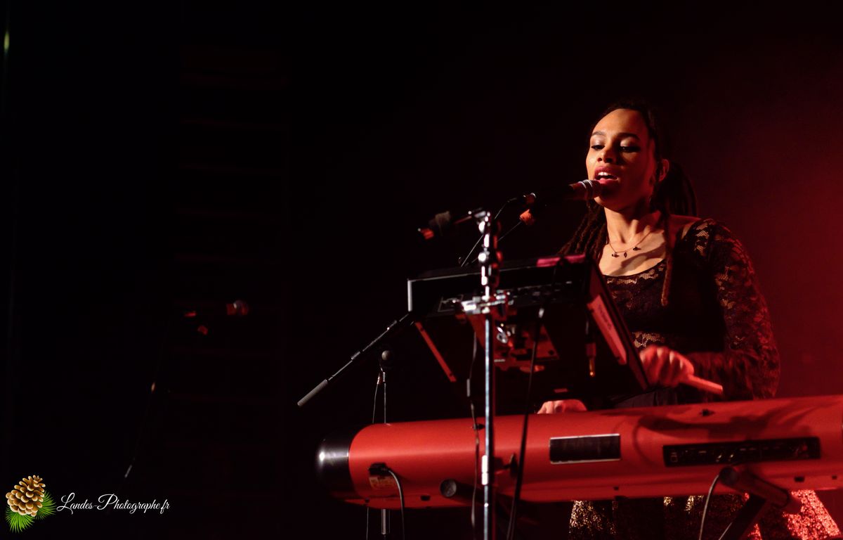 The skints en concert a la Salle Bellegrave de Pessac