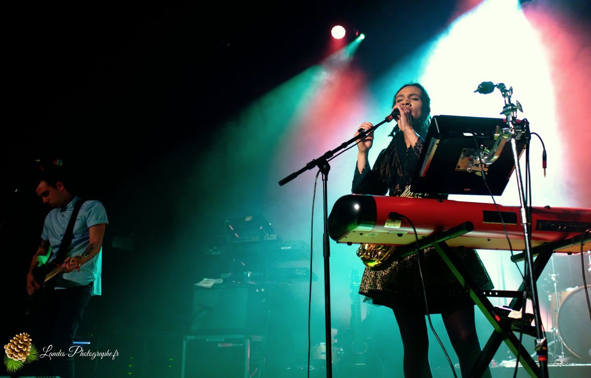 The skints en concert a la Salle Bellegrave de Pessac