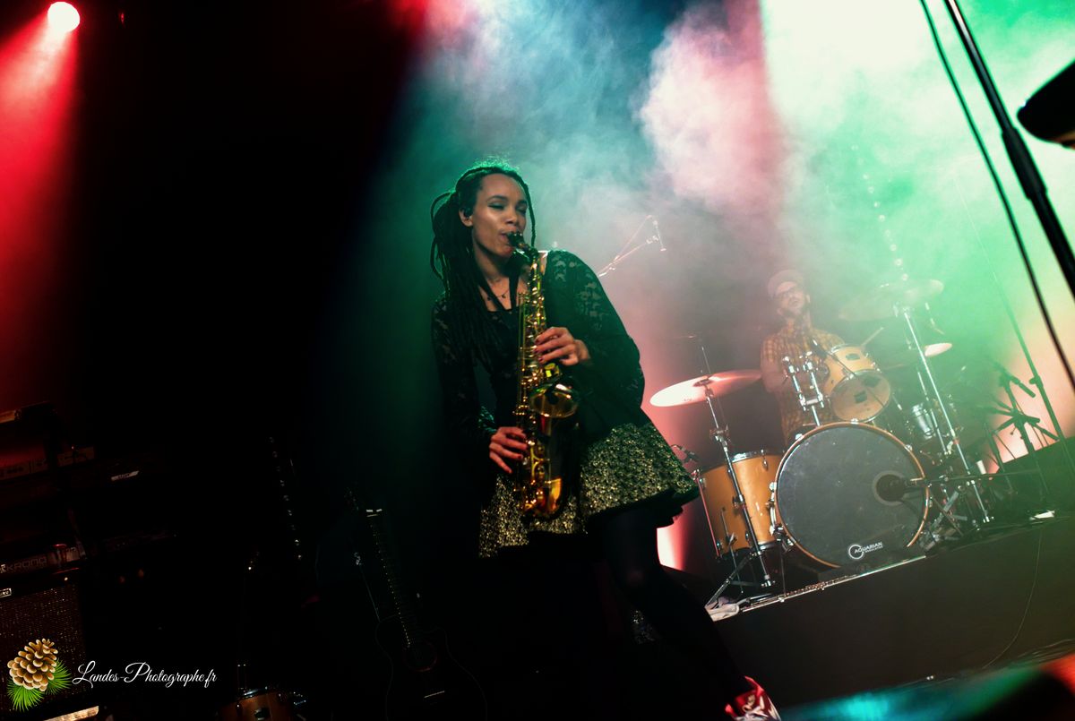The skints en concert a la Salle Bellegrave de Pessac