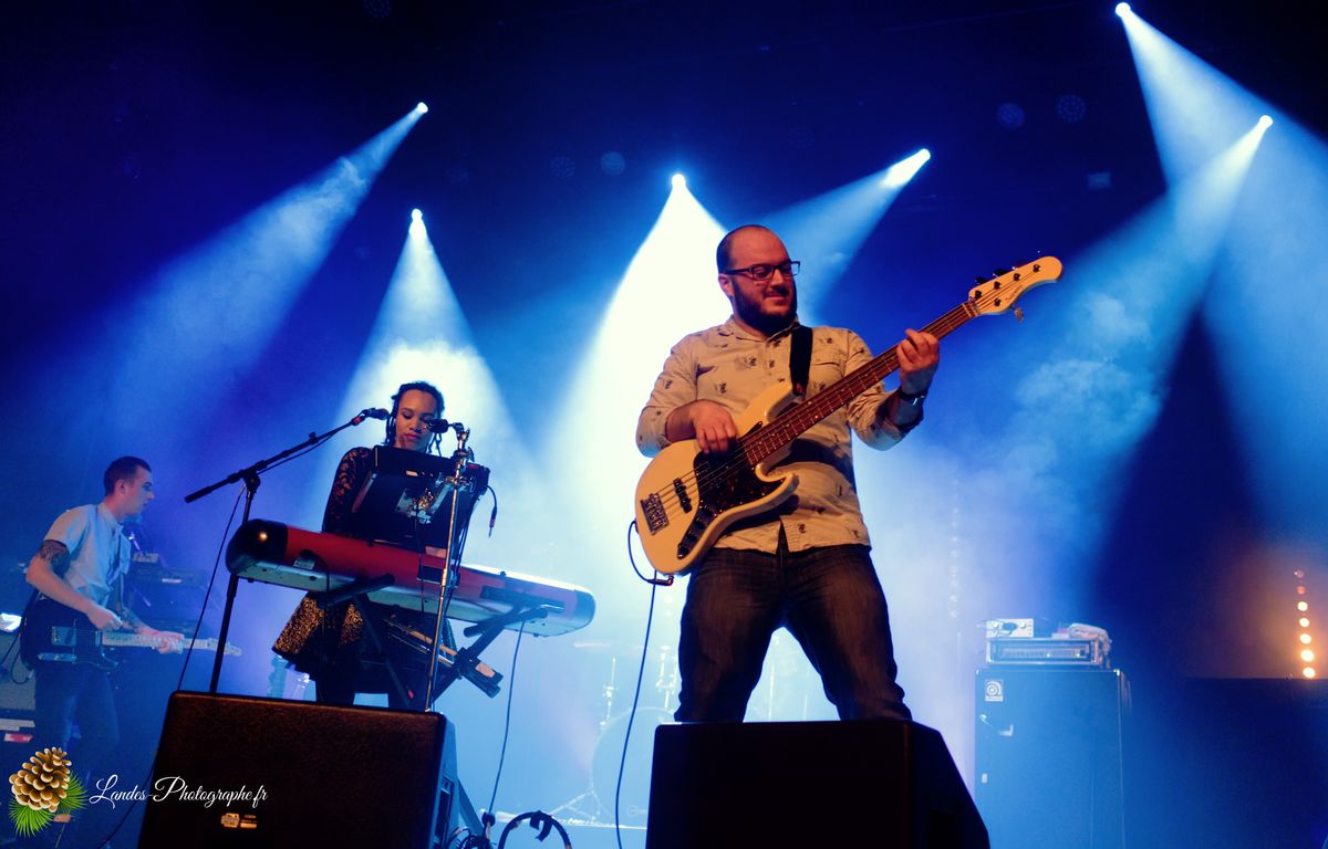 The skints en concert a la Salle Bellegrave de Pessac