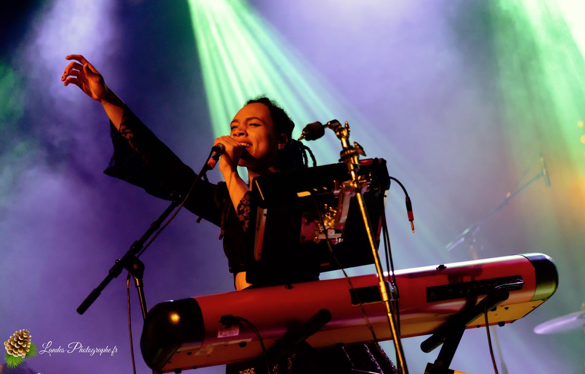 The skints en concert a la Salle Bellegrave de Pessac