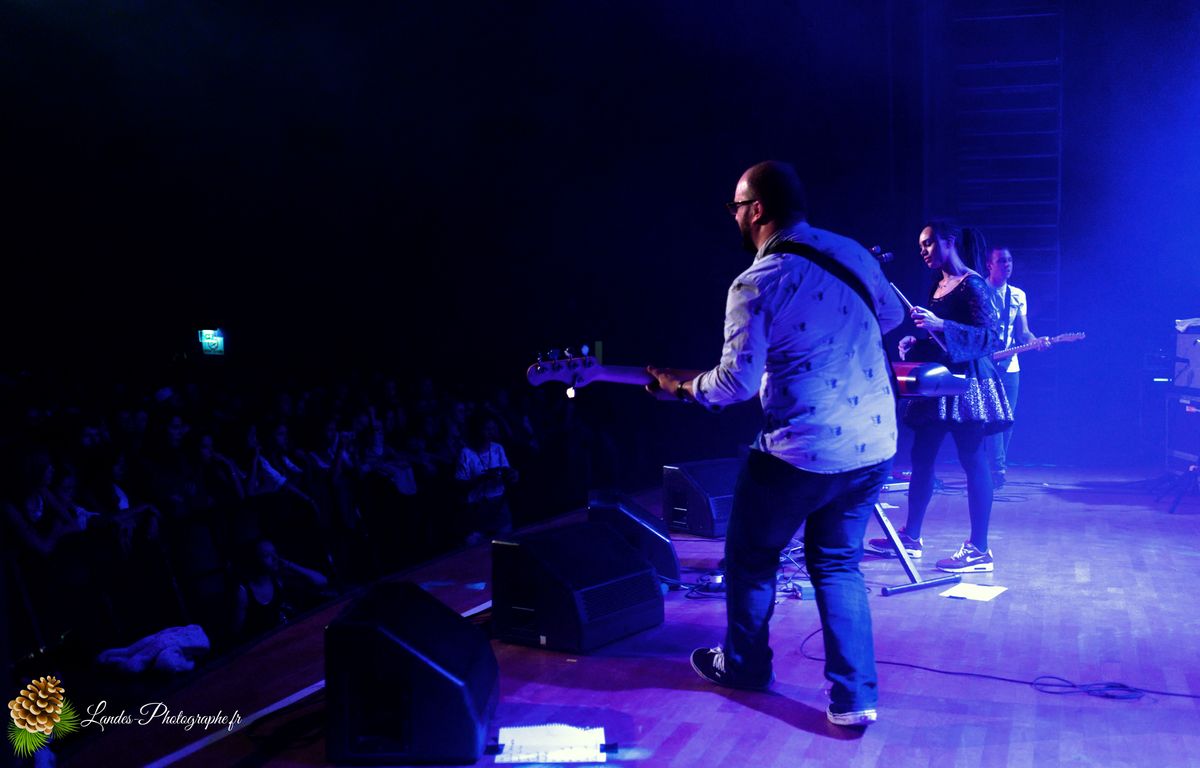 The skints en concert a la Salle Bellegrave de Pessac