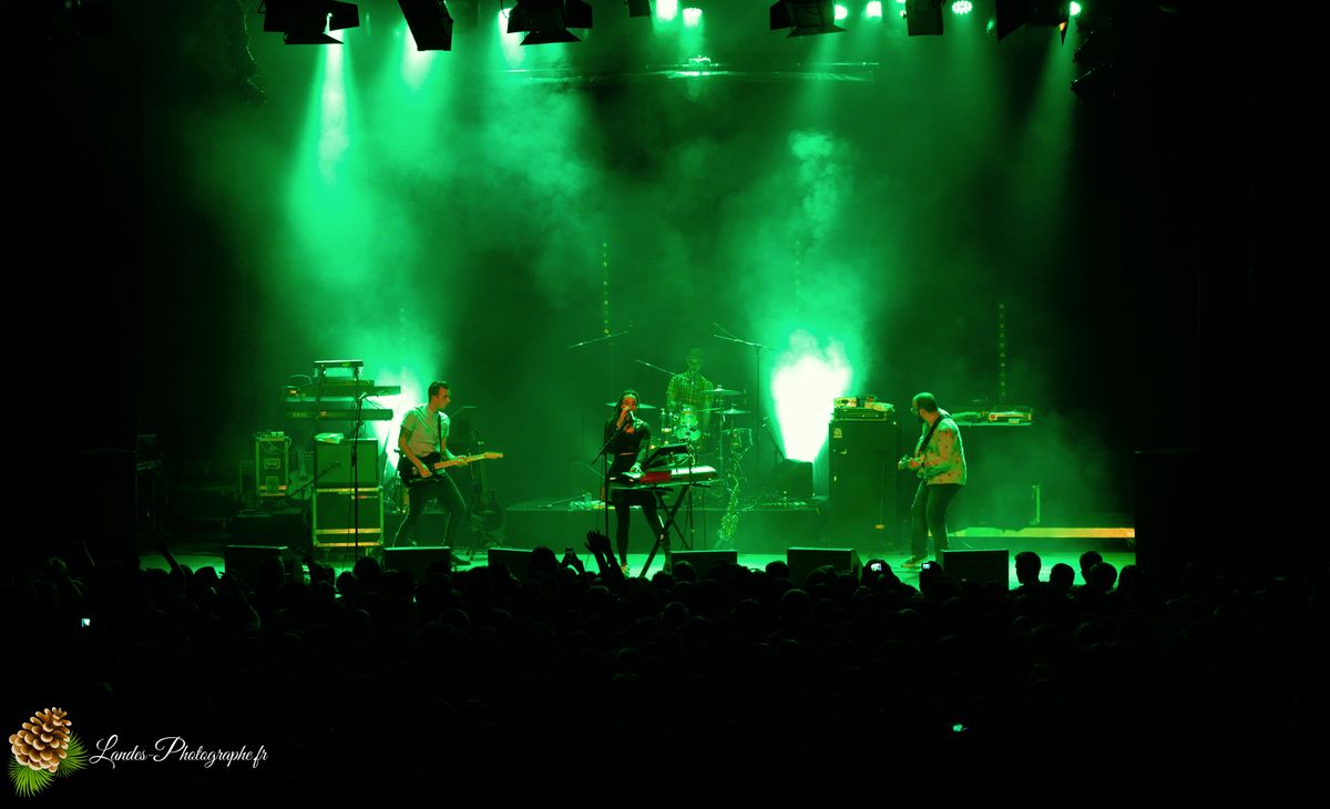 The skints en concert a la Salle Bellegrave de Pessac