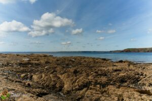 Plage de Trez Rouz