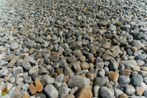 Plage de Trez Rouz