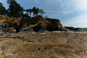 Plage de Trez Rouz