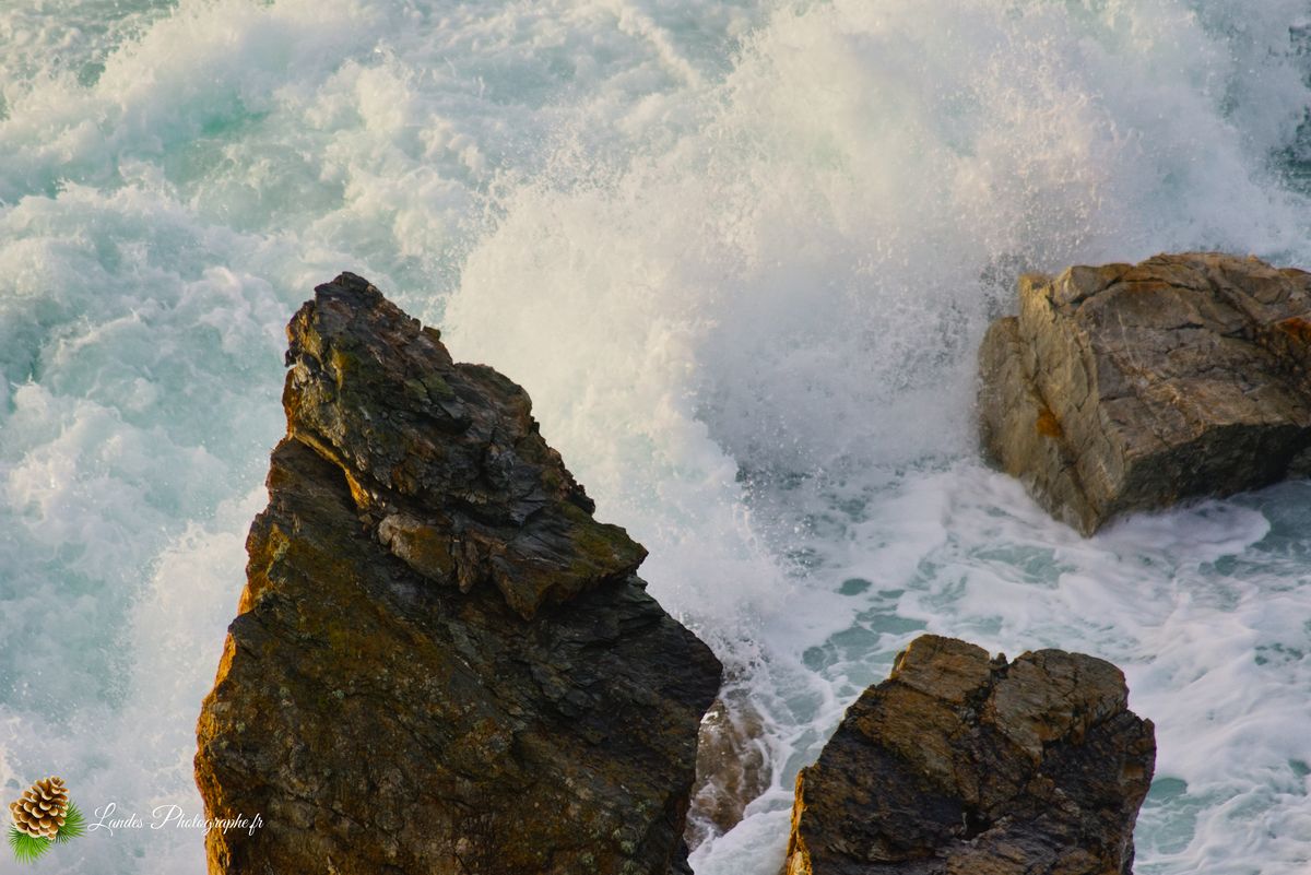 Plage de Trez Rouz à Camaret sur Mer