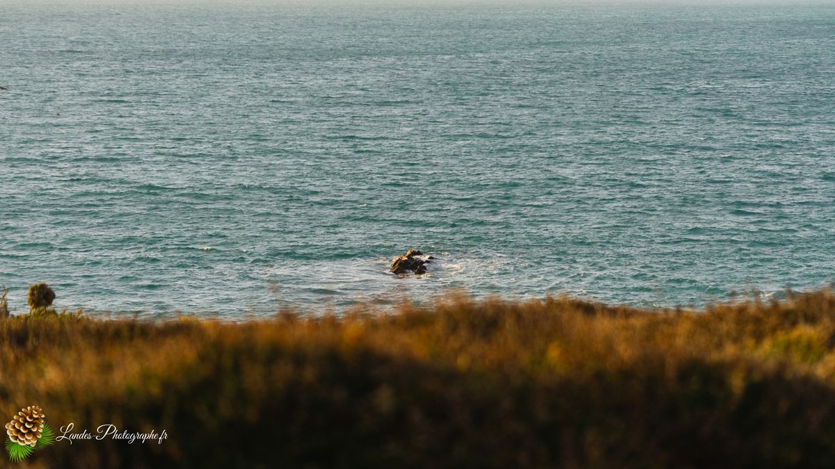Plage de Trez Rouz à Camaret sur Mer