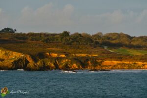 Plage de Trez Rouz à Camaret sur Mer