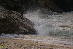 Plage de Trez Rouz à Camaret sur Mer