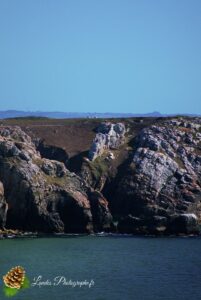 Pointe du Toulinguet