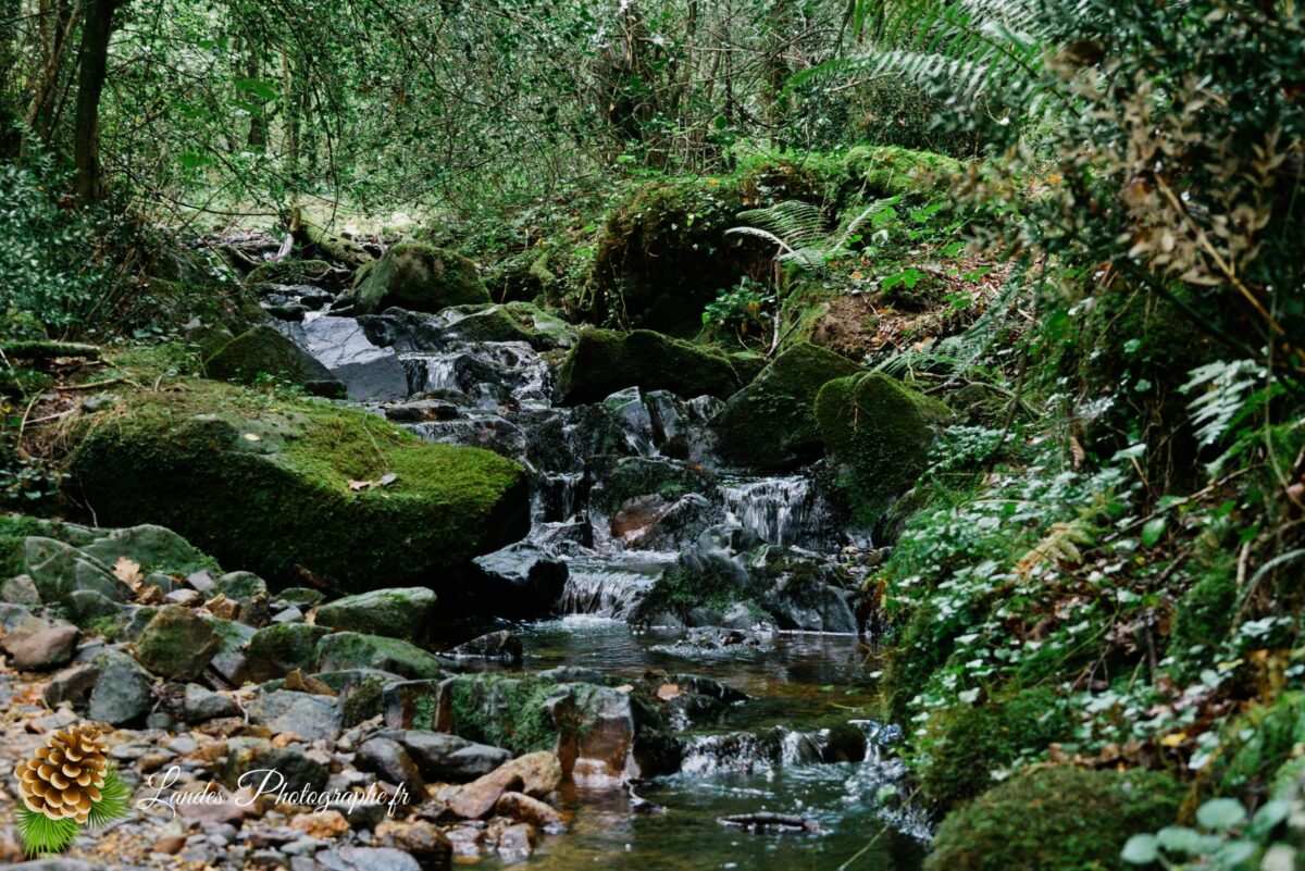 Le lac de Xoldokogaina à Ibardin