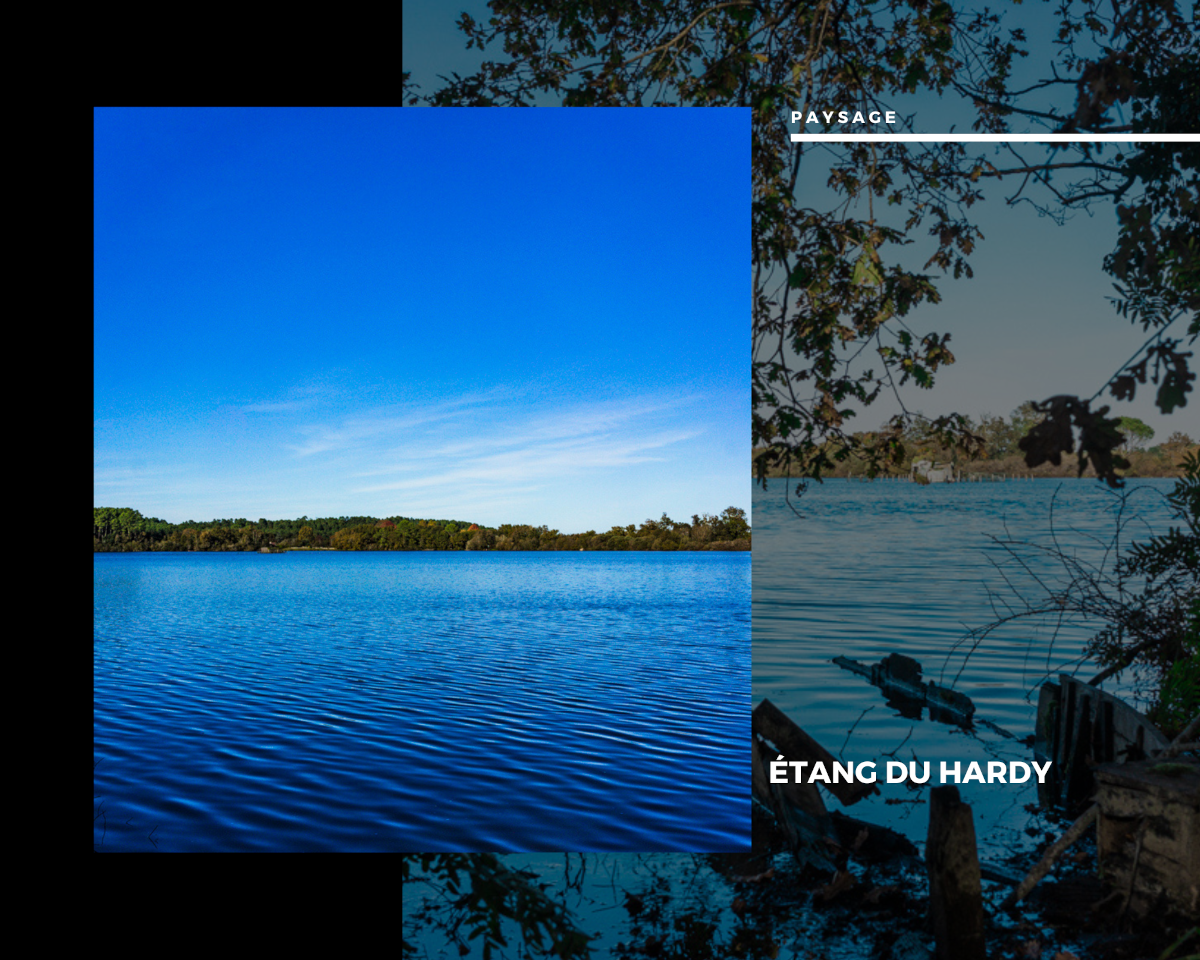 Étang du hardy