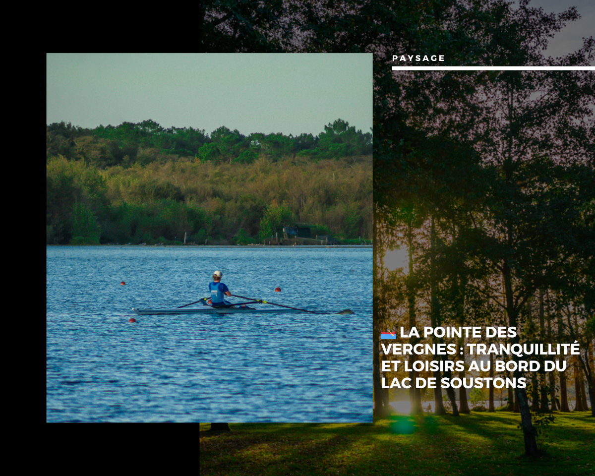 La Pointe des Vergnes