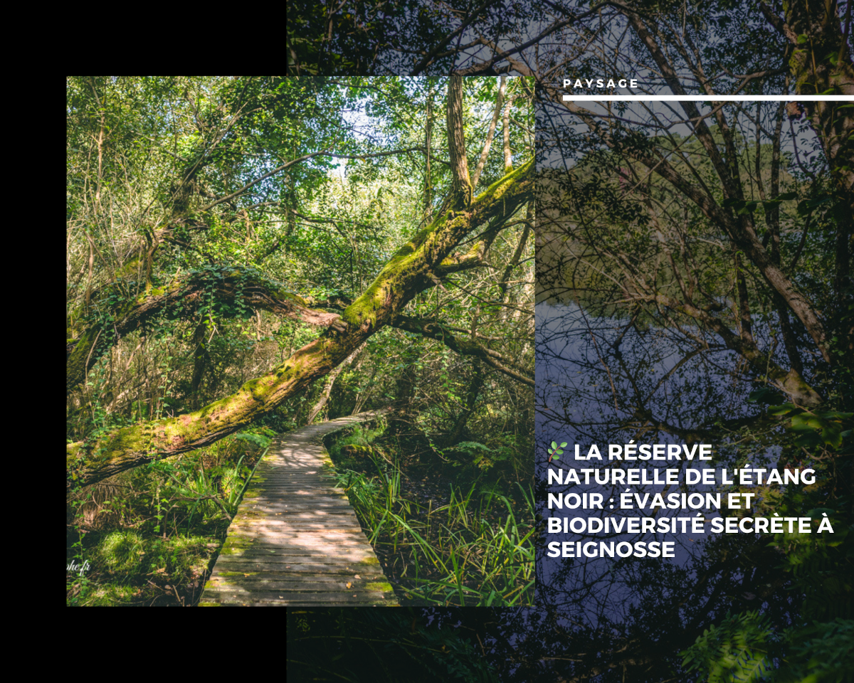 La Réserve Naturelle de l'Étang Noir