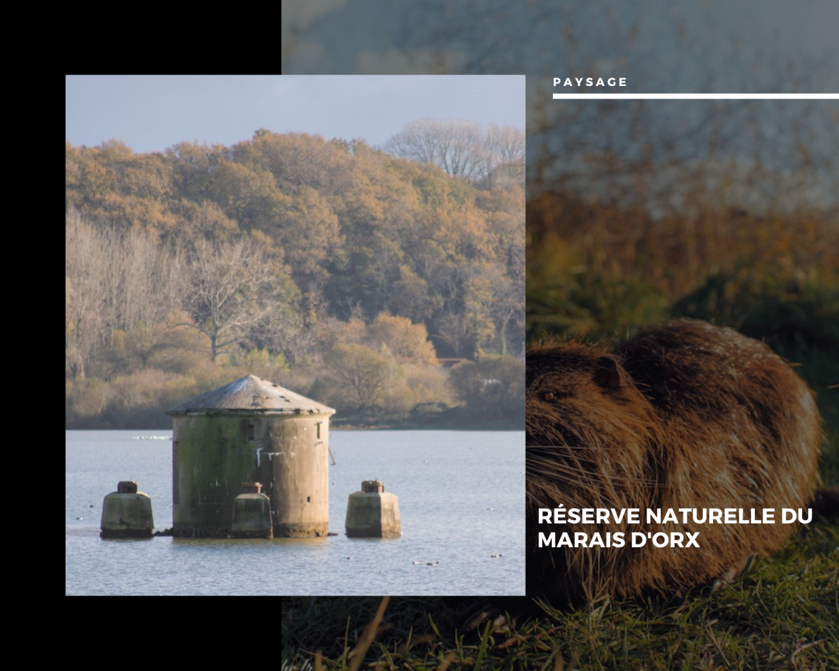 Réserve Naturelle du Marais d'Orx