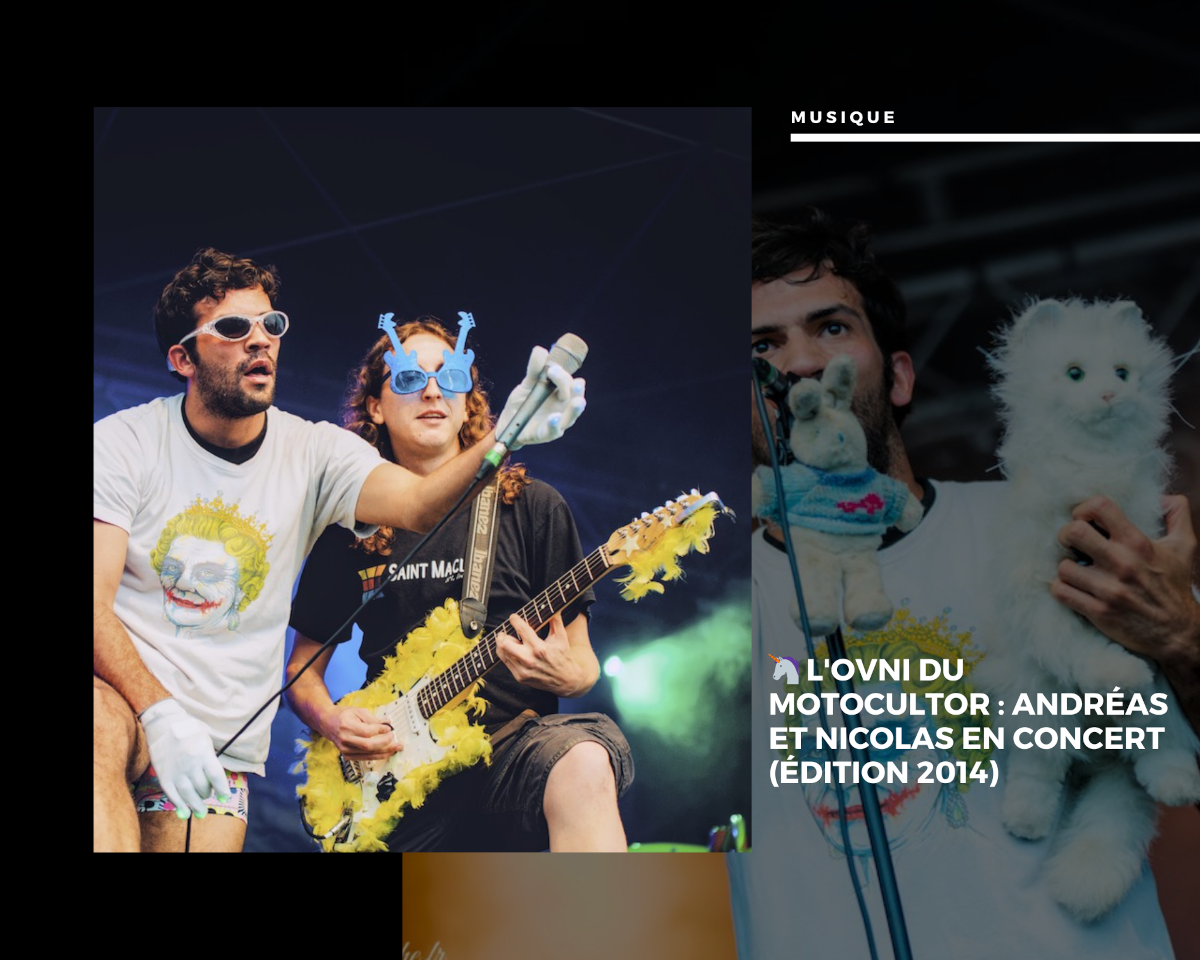 🦄 L'Ovni du Motocultor : Andréas et Nicolas en concert (Édition 2014)